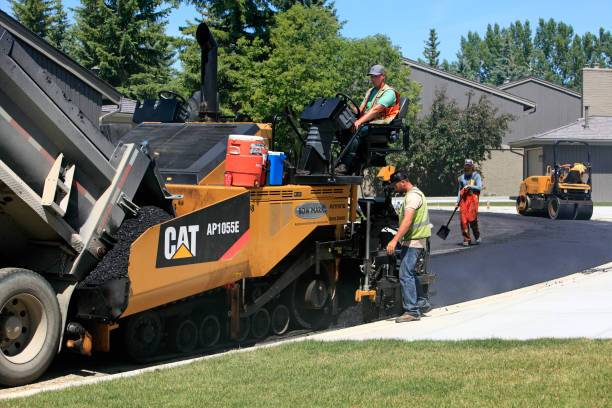 Best Driveway Paver Repair  in Covington, KY